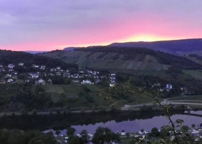 Mosel Valley View - Budget-friendly With Garage Apartamento